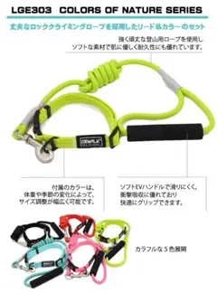 Item thumbnail for item 92ff58b1-8f7b-4380-950c-c319af7de810