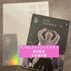 BTS WORLD TOUR LOVE YOURSELF SEOUL テテ