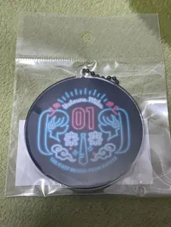 初音ミク×SOLWA モチーフアクリルキーホルダー pipi