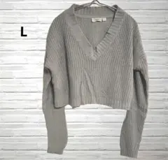 グレー Vネック ニットセーター L クロップド丈 短丈 ライトグレー 長袖