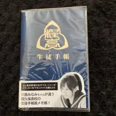 Item thumbnail for item f27703b7-02c7-4348-a063-26b9146067d4