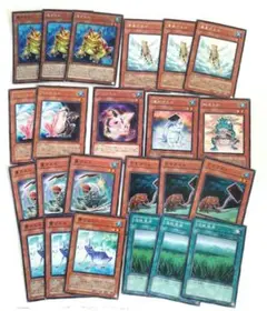 遊戯王 鬼ガエル 黄泉ガエル イレカエル など 23枚セット