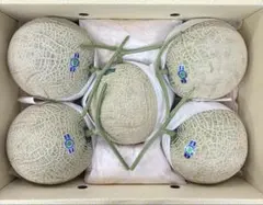 イズモ高知温室メロン 5玉入り二箱箱込み11キロ11.2キロ 高知 温室メロン 5玉入り箱込み11.6キロ⑨ - メルカリ