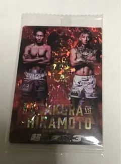 2026年最新】RIZIN カード シークレットの人気アイテム - メルカリ
