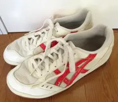 体育館シューズ 体育器具