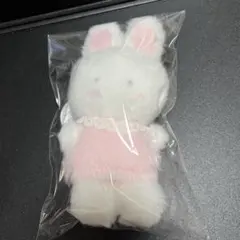 チアリーチャム