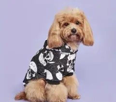 Item thumbnail for item 639da31c-926b-4c09-9e35-c524a5d67686