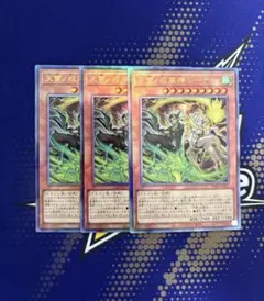 天雷ノ双風神シーナ レリーフ アルティメット 遊戯王 - メルカリ