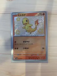 2026年最新】ヒトカゲ sの人気アイテム - メルカリ