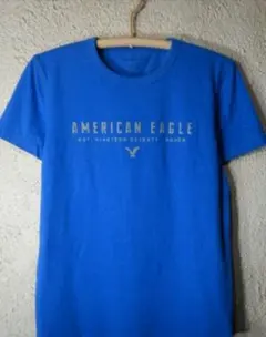 AMERICAN EAGLE 青 Tシャツ Sサイズ