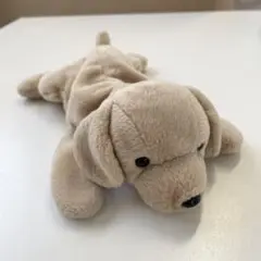 The Beanie Babies Collection 犬 ぬいぐるみ