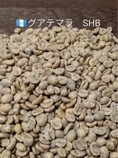 生豆】 グアテマラ SHB 500g 珈琲 コーヒー 生豆 格安 爆安 限定