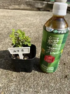 norichan様 リクエスト 2点 まとめ商品