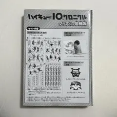 ハイキュー 10th クロニクル グッズ