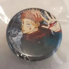 平野耕太 大博覧會 ヘルシング メタルアート 缶バッジ ベルナドット