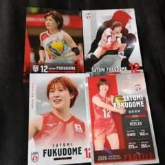 女子バレーボール福留慧美トレカ4枚セット