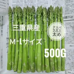 農家直送 三重県産 アスパラガス M~Lサイズ 500gのサムネイル
