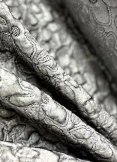 きみた様 リクエスト 5点 まとめ商品