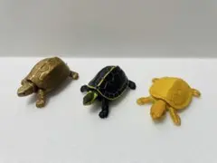 チョコエッグ　海洋堂　カメ 3体セットのサムネイル