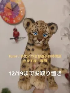 アートドール ぬいぐるみ