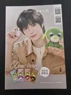 TXT coralhaze フライヤー ボムギュ