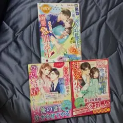 ベリーズ文庫 3冊セット 惣領莉沙