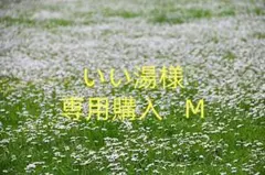 いい湯様専用購入 XL