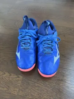 Item thumbnail for item a0b6ca71-840f-4a39-adbd-f1256118fd90