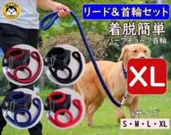 Item thumbnail for item 0078b7d9-9c13-4c51-a288-1c8debe828ad