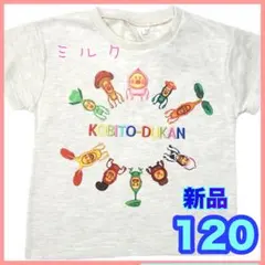 120⭐️こびとづかん Tシャツ 半袖　カクレモモジリ　集合 ホトケアカバネのサムネイル