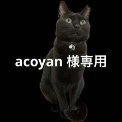 【美品】 iPad 第10世代（2022年モデル） 64GB Wi-Fiモデル