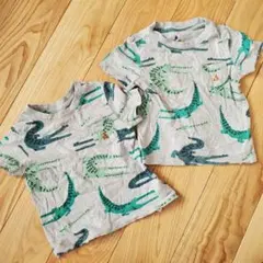 Item thumbnail for item 8d744faf-0bf6-47a4-b306-fe86f0b58d8b