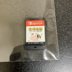 【動作確認済み】牧場物語　Switch ソフトのみ【値下げしました】