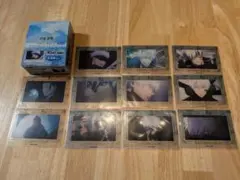 呪術廻戦PLAZA 箔押し場面写クリアカード 五条悟