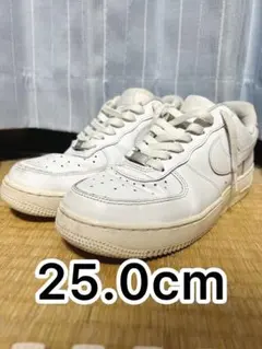 Item thumbnail for item 36736fc5-0da5-4750-a2a1-20df7e4c7b56