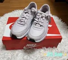 Item thumbnail for item 505e22ad-84d8-4519-b87c-9266e3517095