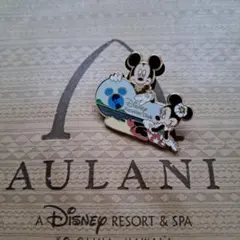 アウラニディズニー ピンバッジ ミッキー ミニー ハワイ DVC