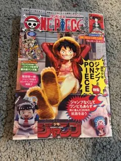 ワンピースマガジン 雑誌