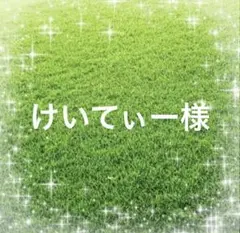 けいてぃー様