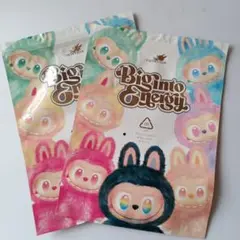 ジッパー袋【2枚セット】