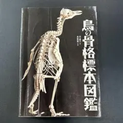 鳥 骨格 標本の解剖図 初版 鳥の骨探 日本産および外国産主要鳥類の