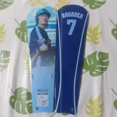 Item thumbnail for item 1bd47ee3-b473-4c7e-b675-eb7968e3b74a