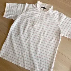 ウィッテム☆半袖ウェア　ボーダー