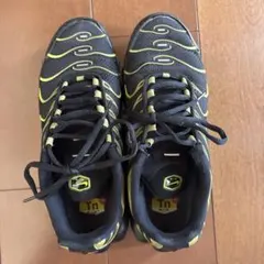 こ*あ様 Nike Air Max Plus ブラック/イエロー　26.5