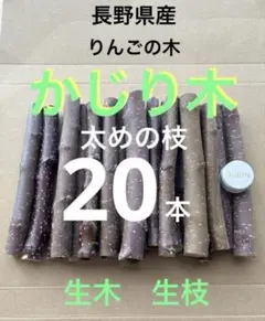 Item thumbnail for item b2360e09-7eb6-44ab-8437-b681003330e0