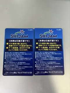 スキージャム勝山 25-26シーズン 大人用早割券 【バラ売り可】