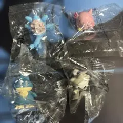ポケットモンスター　ポケモンゲットコレクションズ　4種