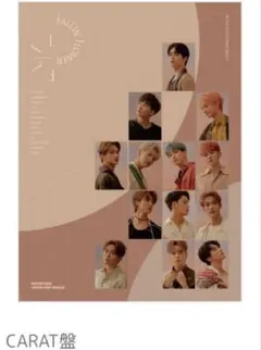 SEVENTEEN 舞い落ちる花びら アルバム 新品未開封 SEVENTEEN、新SG『舞い落ちる花びら (Fallin' Flower)』ジャケ写公開