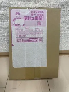 ポケモンカードMEGAドリームEX ポケモンセンター購入ダンボール未開封