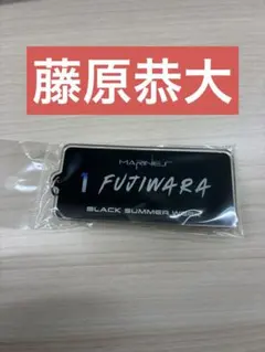 千葉ロッテマリーンズ/藤原恭大 BSWオーロラキーホルダー - メルカリ
